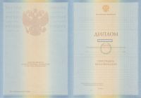 Диплом ВУЗа 2010 года