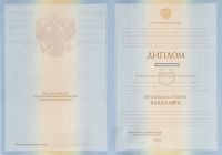 Диплом университета с 2009 по 2010 год