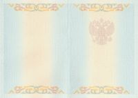 Диплом института с 2004 по 2008 год