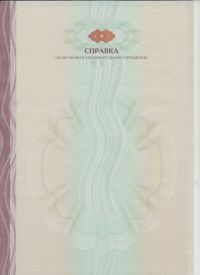 Академическая справка ВУЗ с 2015 по 2024 год